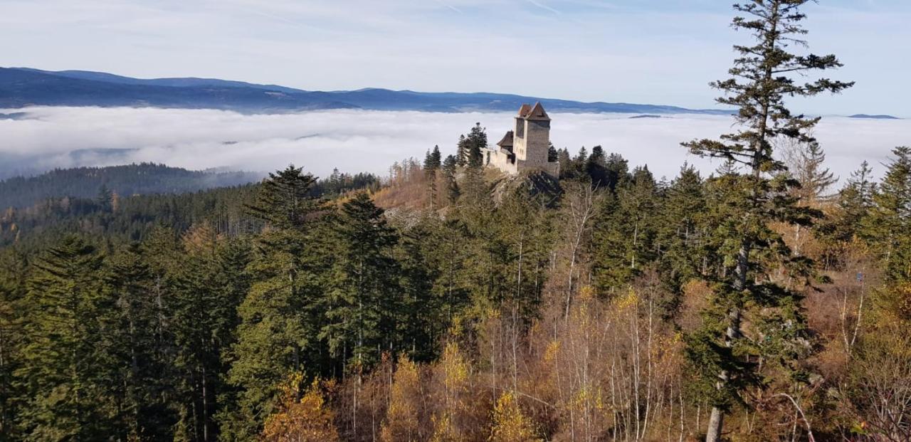 Hotel Zlaty Potok Nicov  외부 사진