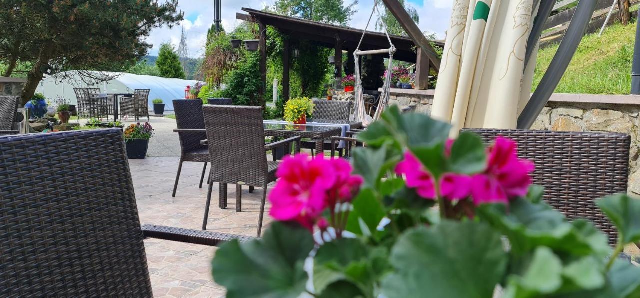 Hotel Zlaty Potok Nicov  외부 사진